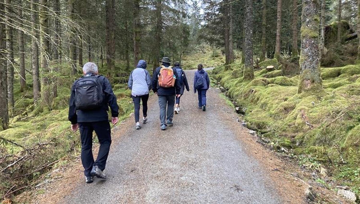 Sie wandern auf Schotterwegen und schönen Pfaden