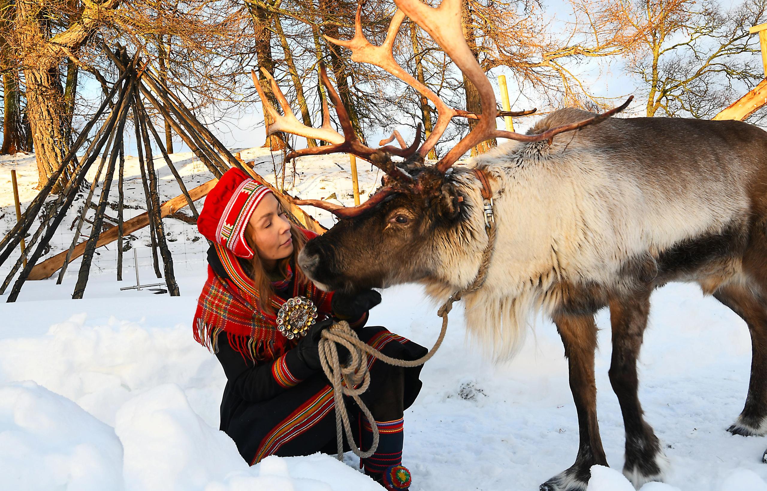 Saltfjell Sami Adventure