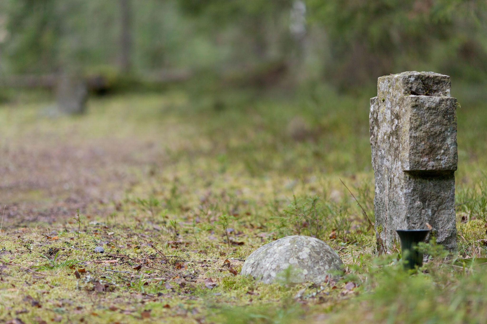 Gravstein i Trandumskogen