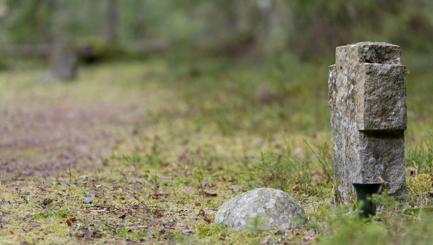Gravstein i Trandumskogen