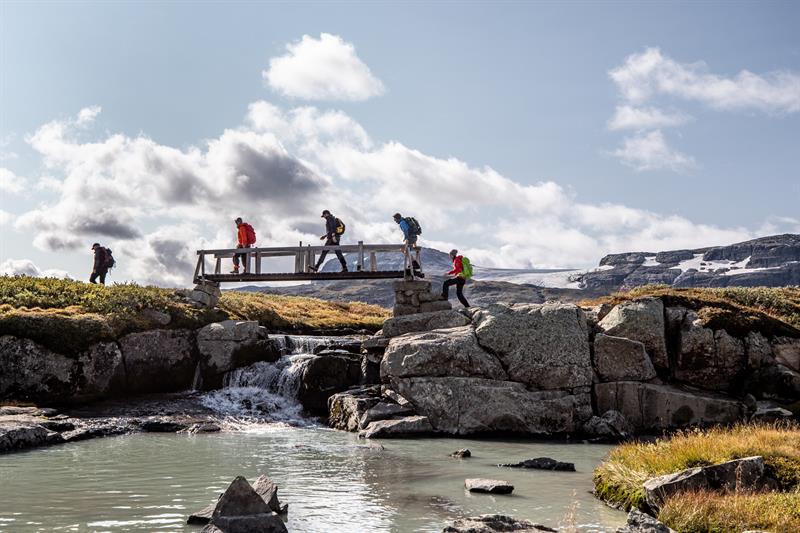 on the way to the glacier through the bridge 