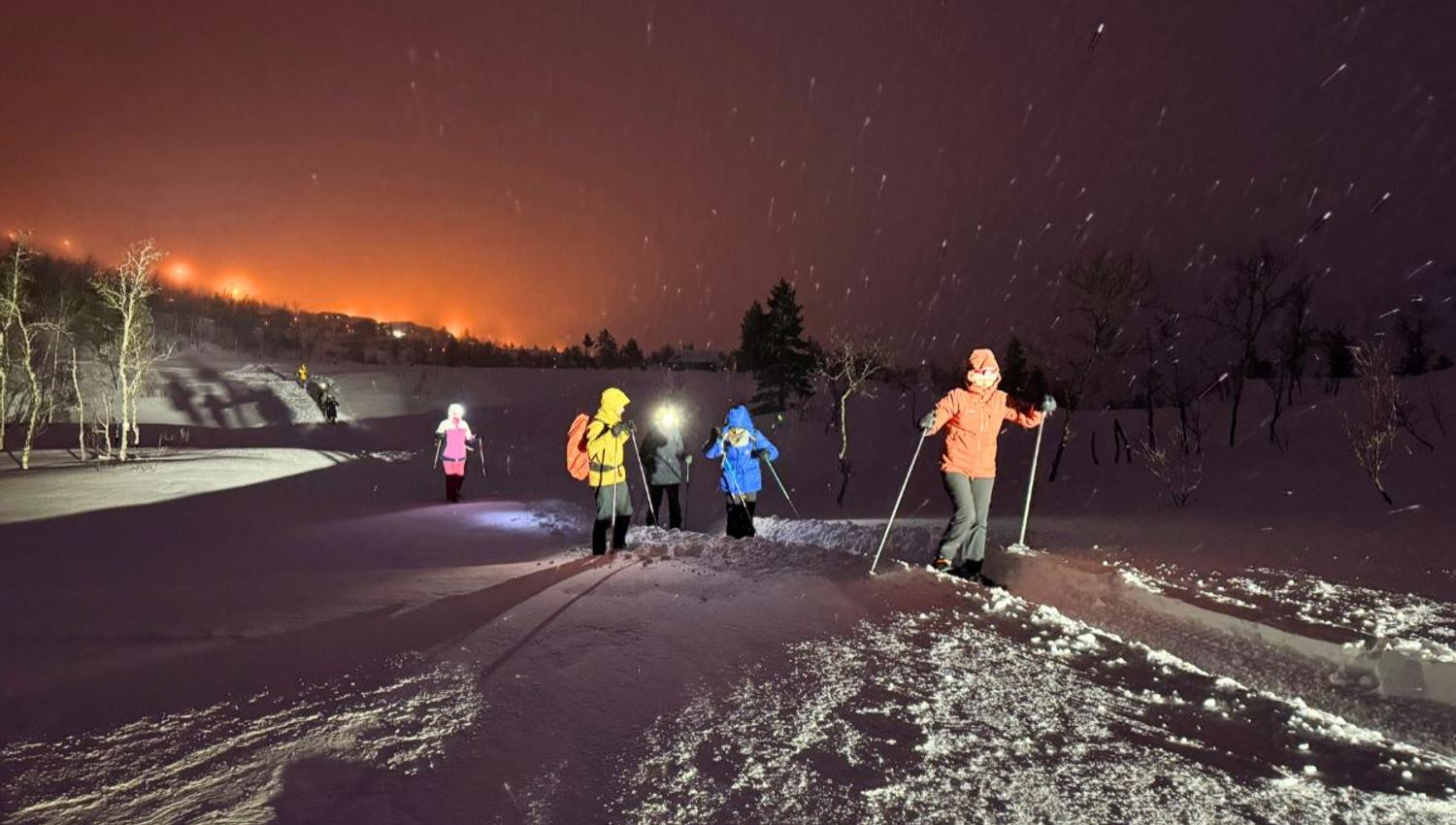 Guests out on snowshoeing trip at night
