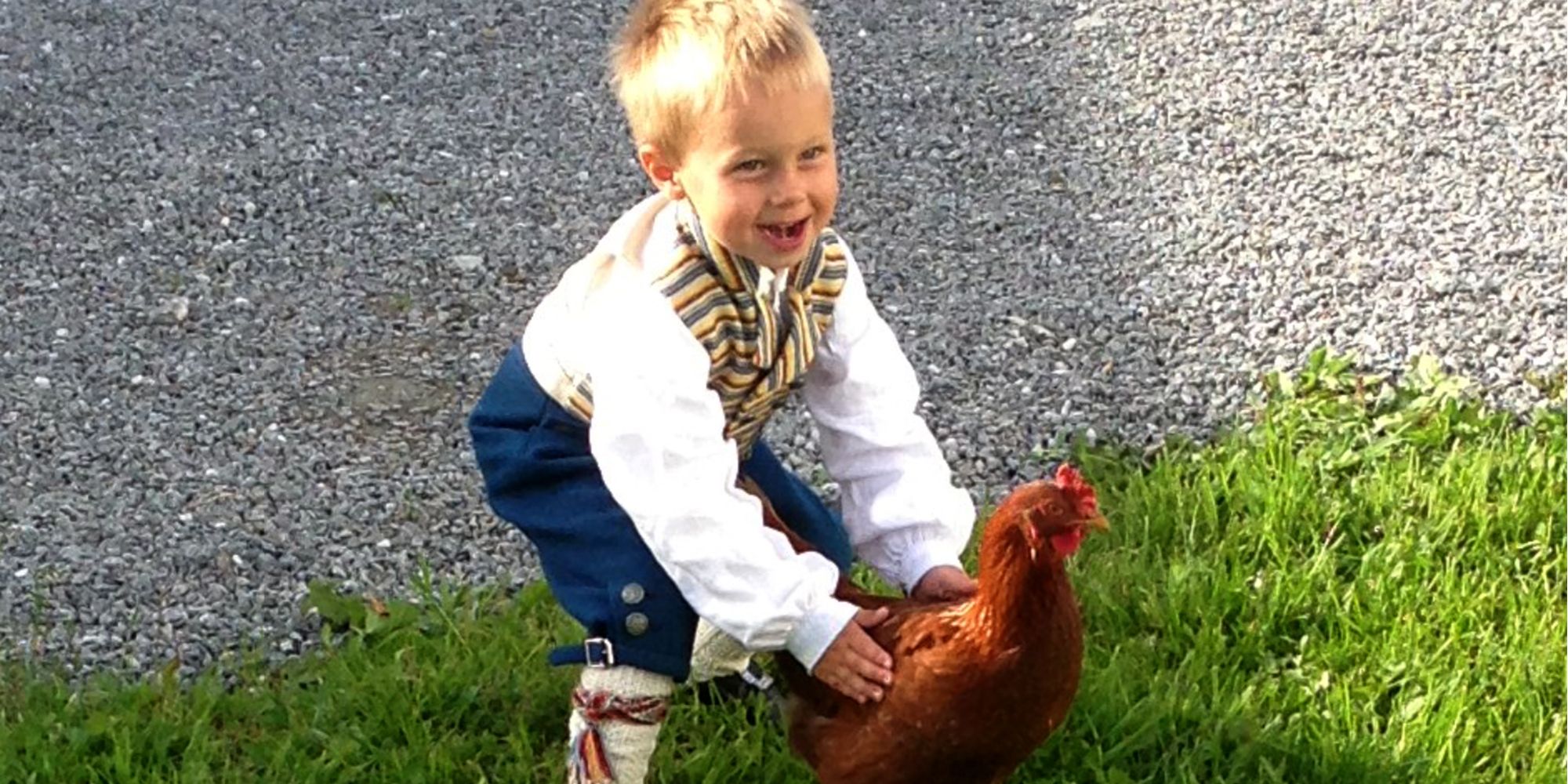Husfrua gårdshotell - member of Golden Road, Inderøy - boy and hen 