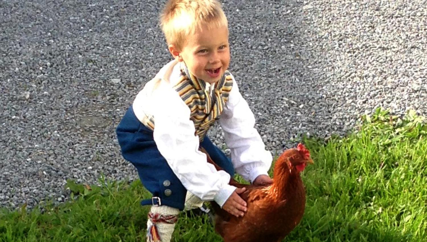 Husfrua gårdshotell - member of Golden Road, Inderøy - boy and hen