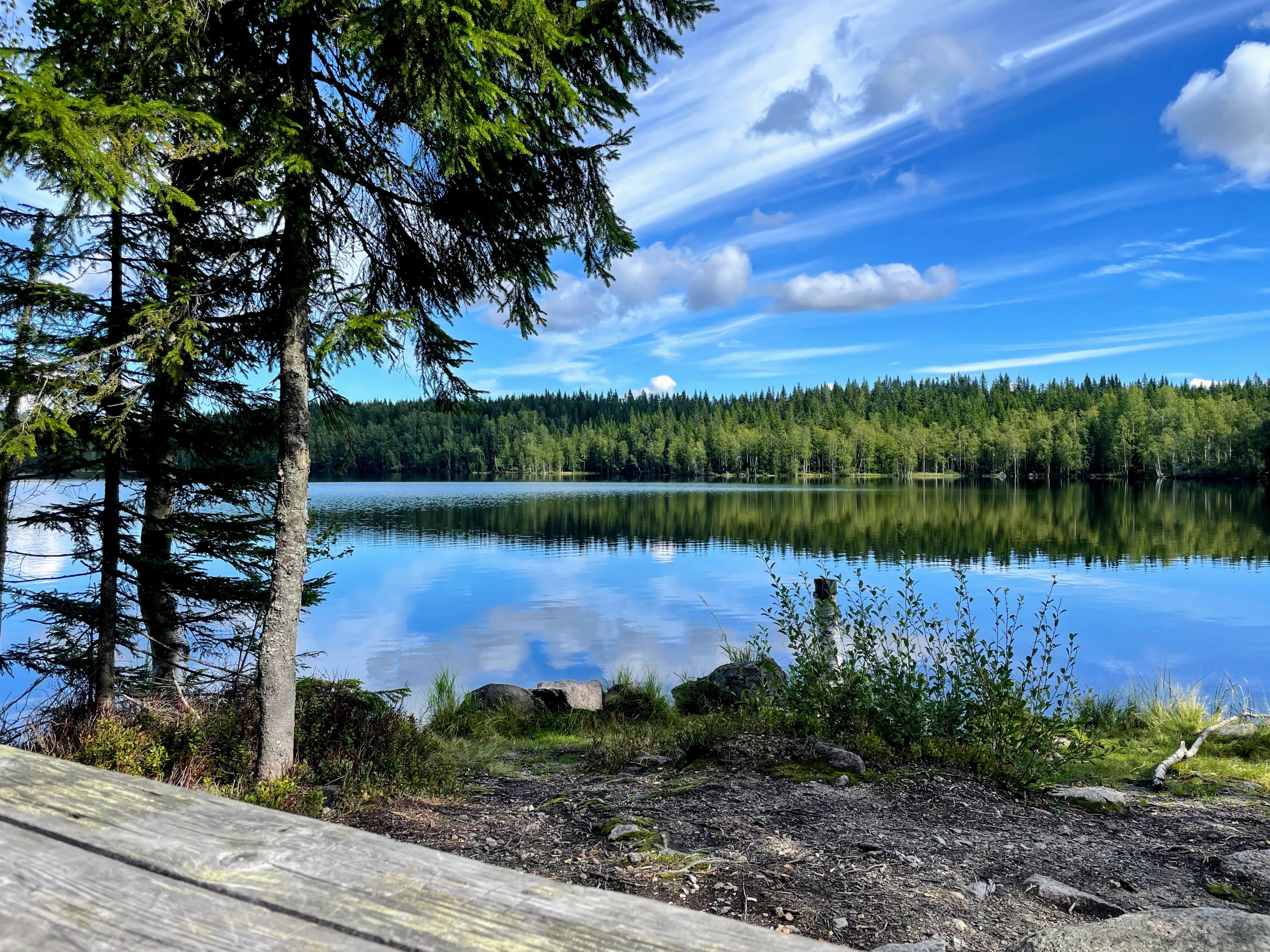 Idyllisk ved Bjertnessjøen