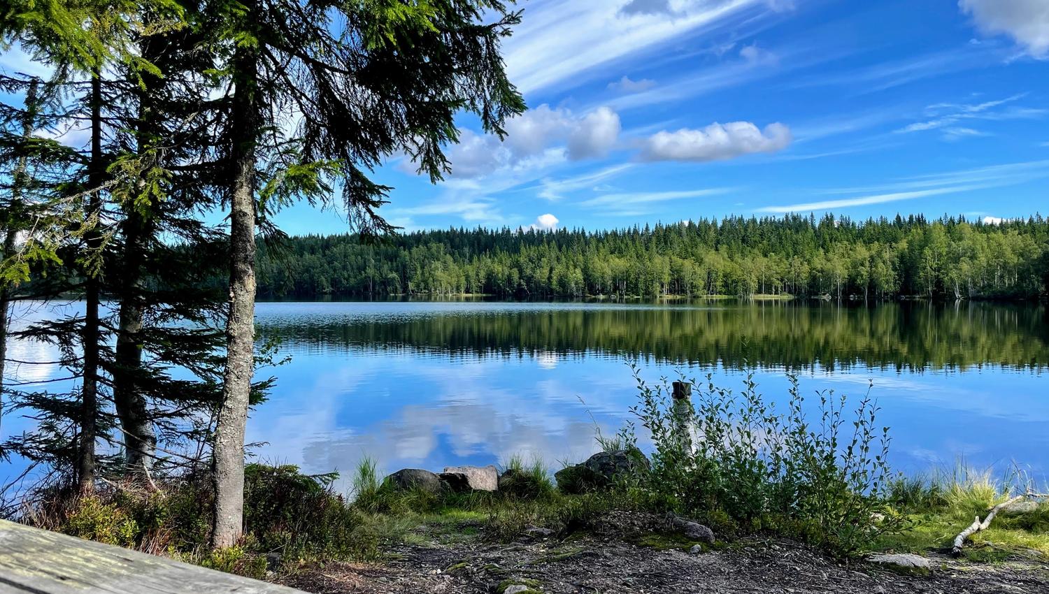 Idyllisk ved Bjertnessjøen