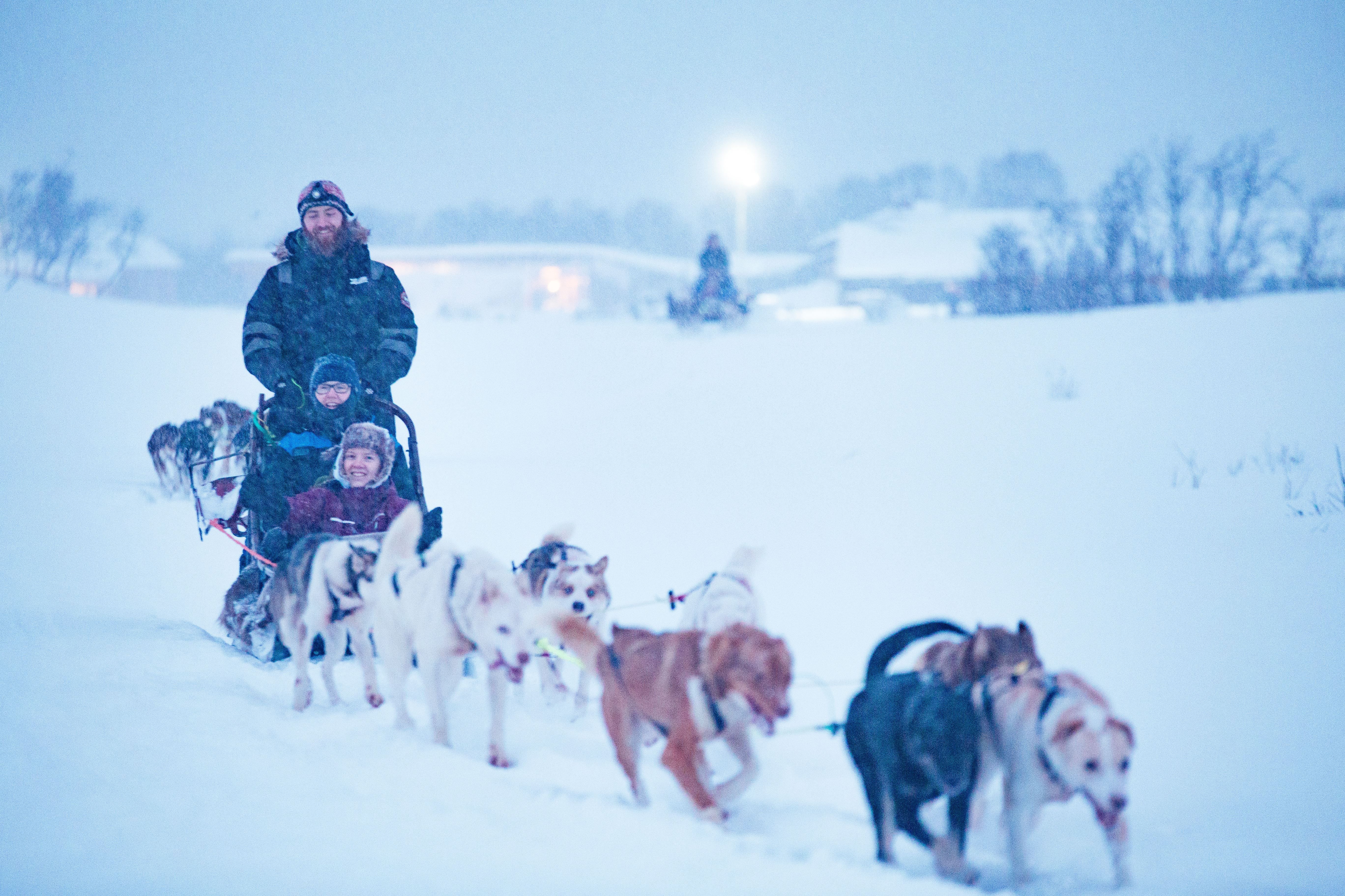 Dog sled ride in snowy eather