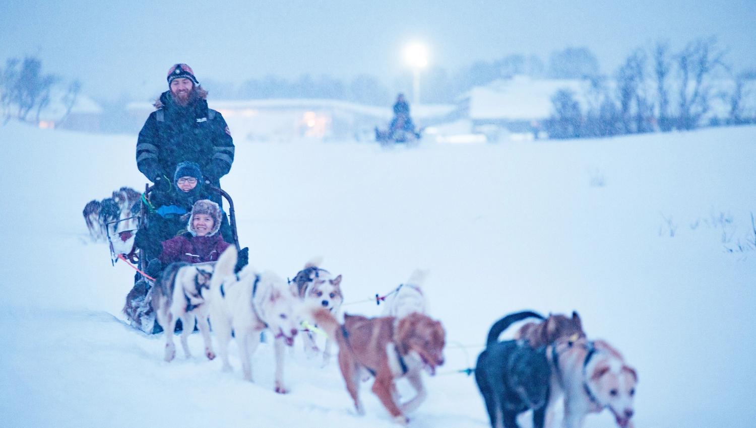 Dog sled ride in snowy eather