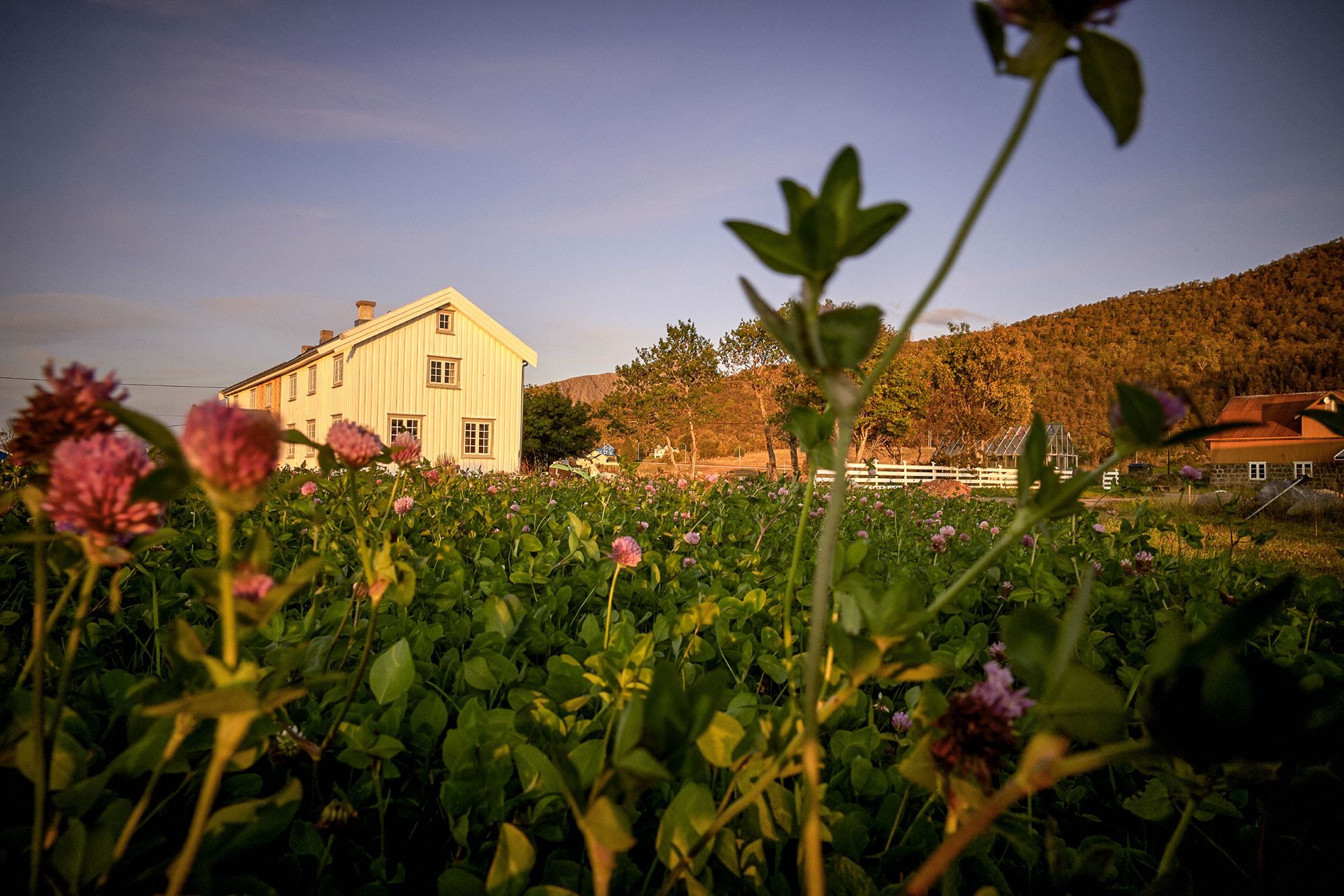 Kvitnes Farm