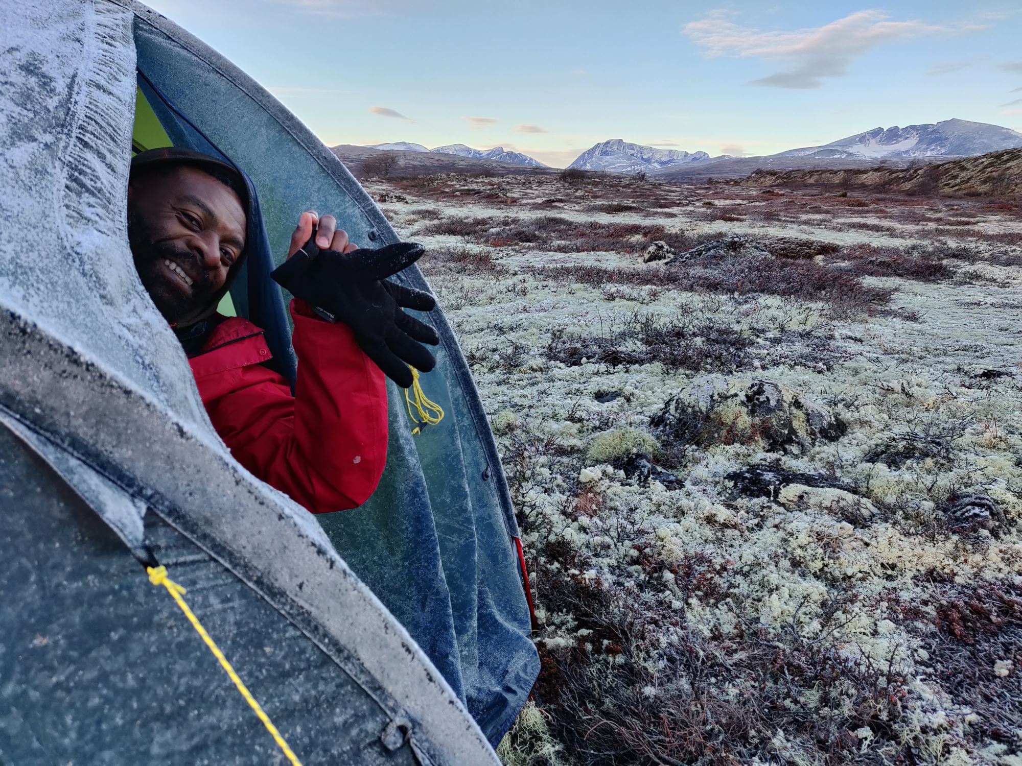 Musk Ox Safari Personal Tour, 2 days