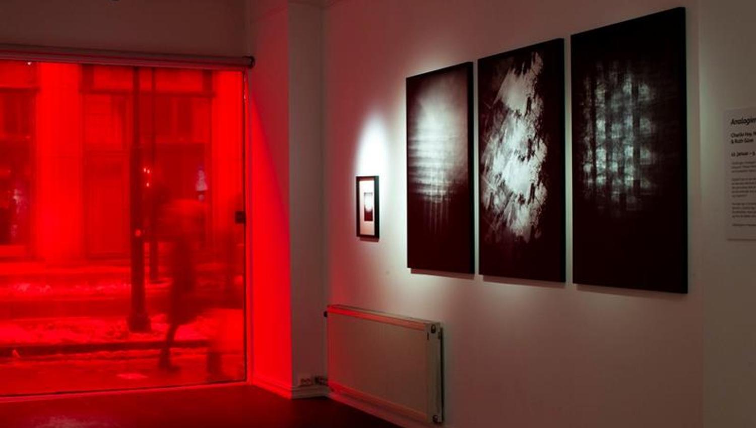 THe exhibition "Analogies" with Charlie Hay, Nina Staff, Stig Marlon Weston, Dorothea Bornemann