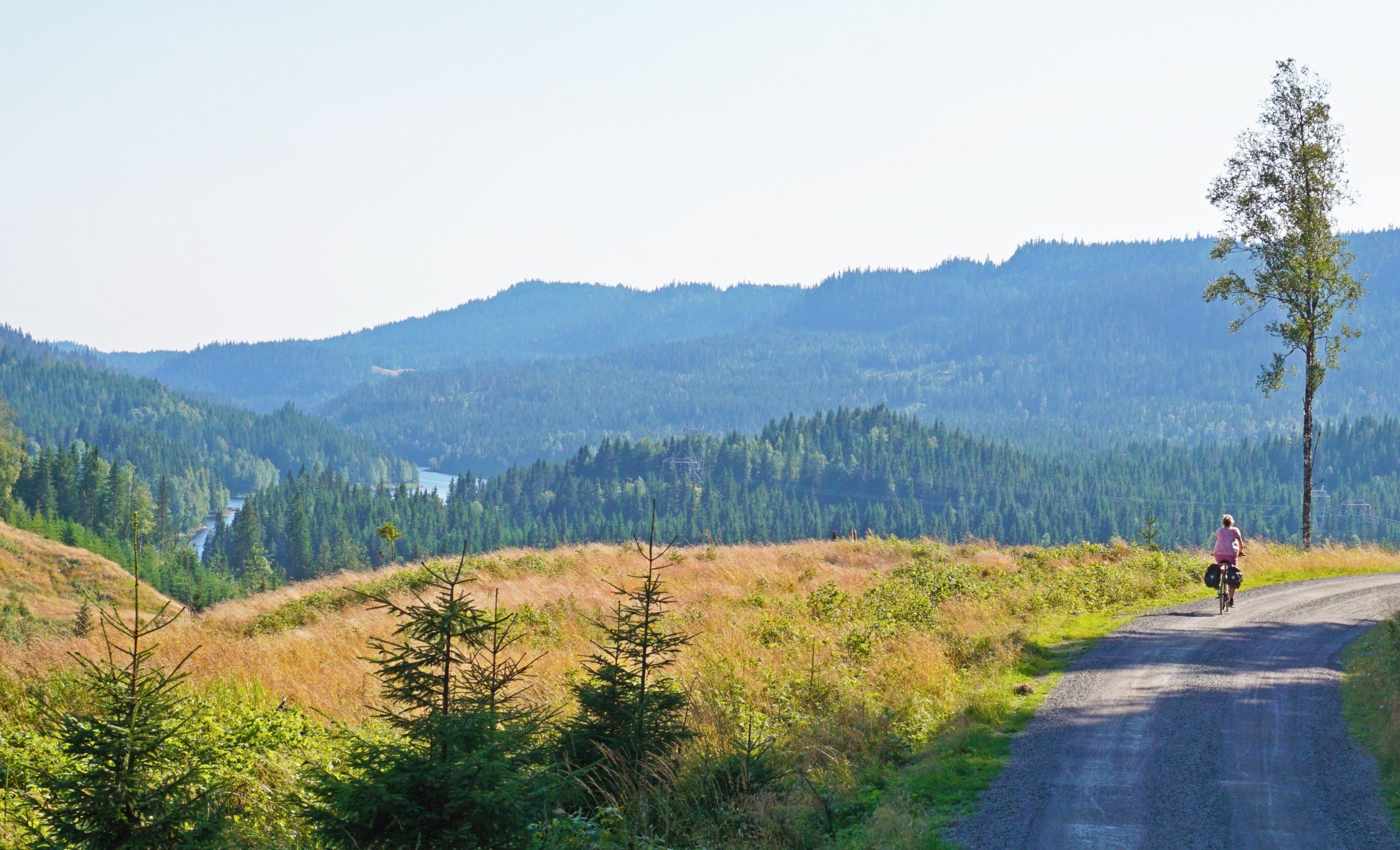 A person cycling along a road, with forest and mountains in the background.