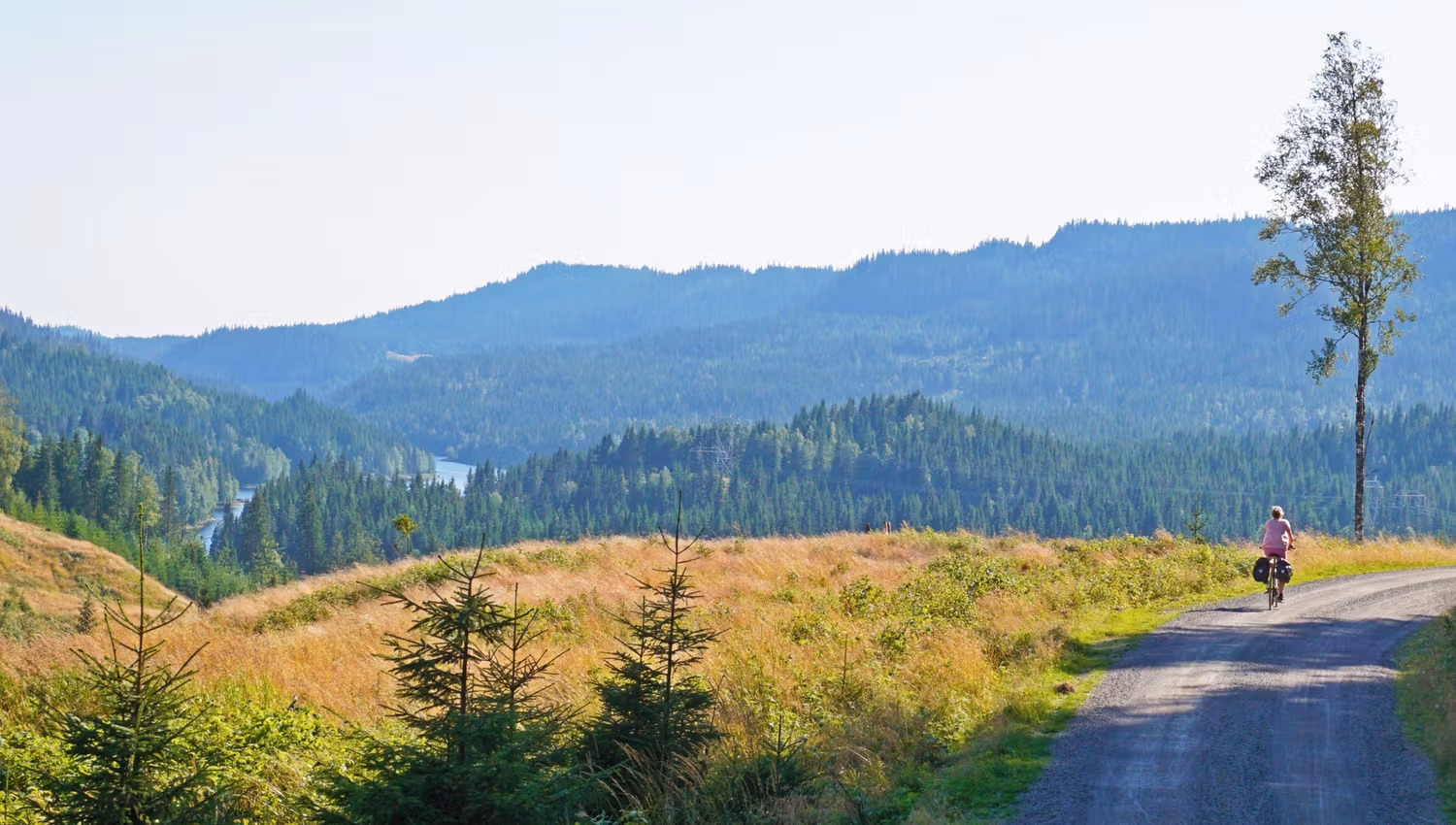 A person cycling along a road, with forest and mountains in the background.