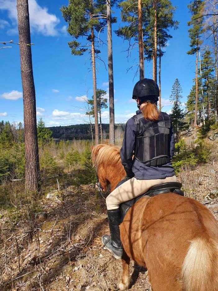 Jente på hesteryggen i skogen