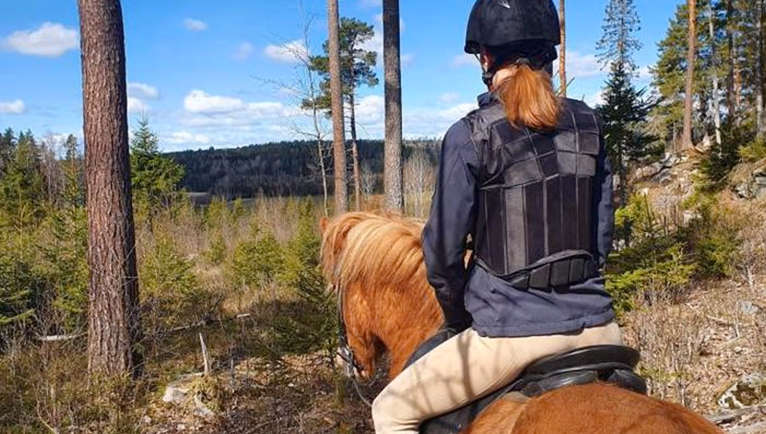 Jente på hesteryggen i skogen