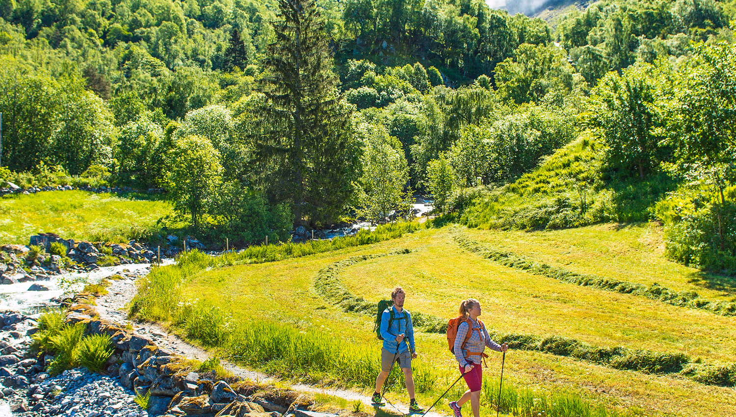 Feigefossen