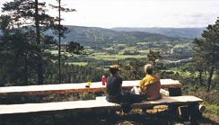 Brufoss-Damer_benk