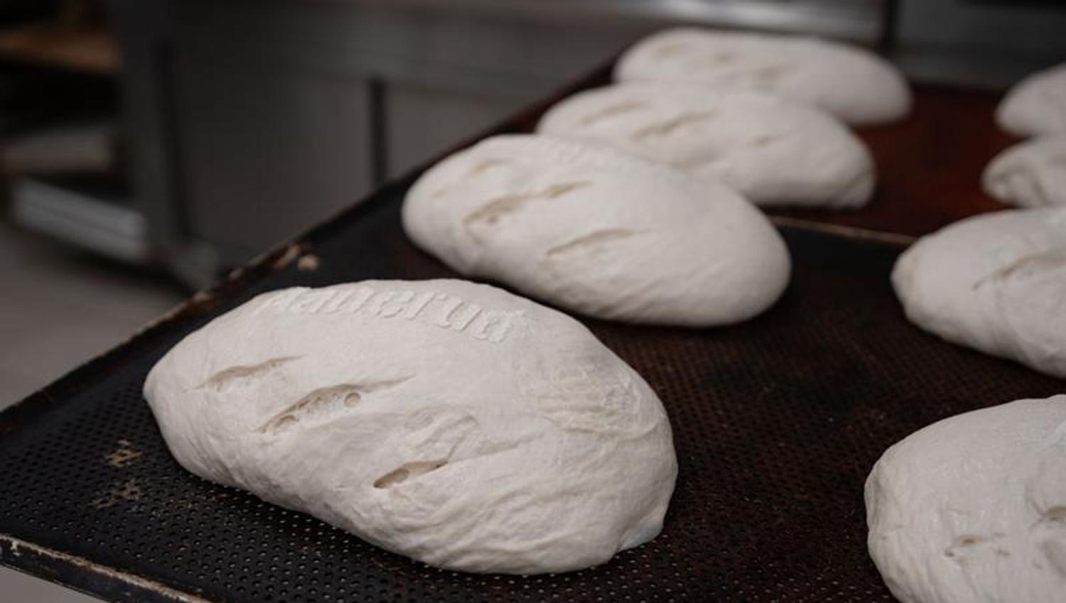 Bread dough on a metal plate.