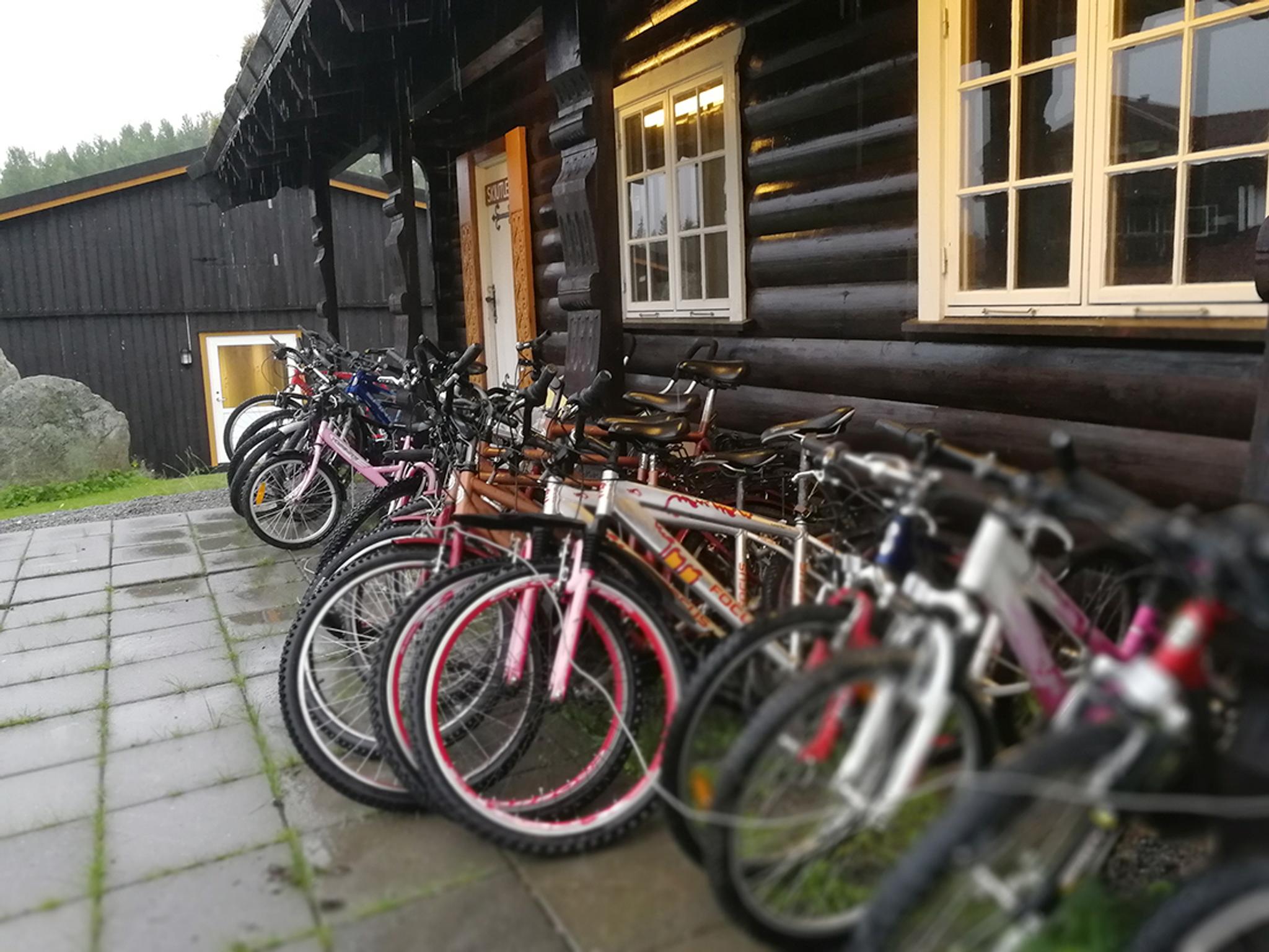 Sykkel i Rauland