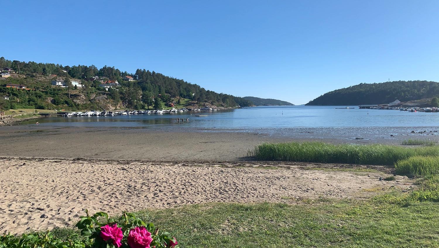 IMG_5985 - Svalerødkilen - badestrand
