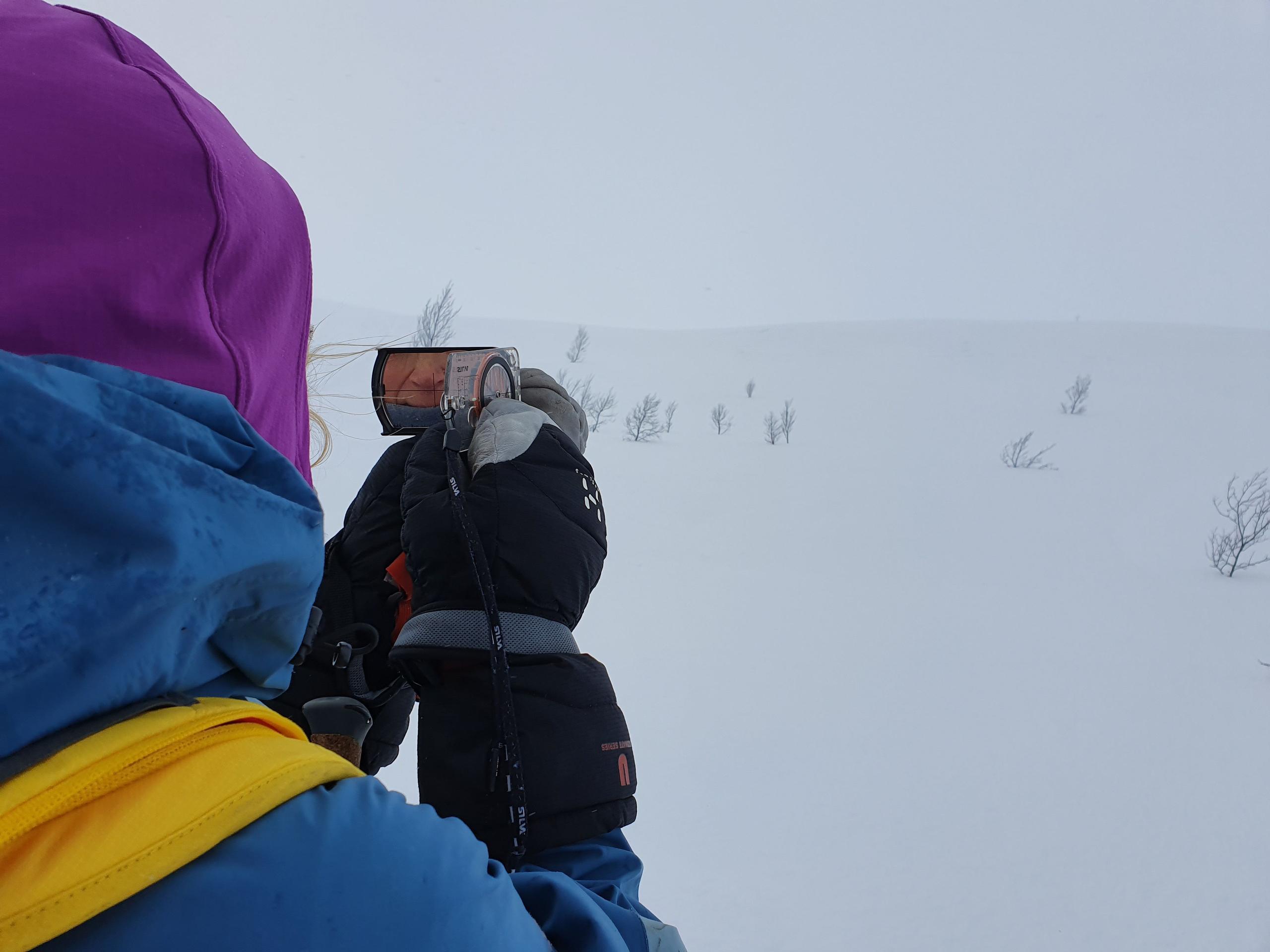 Ski touring course with Wild Voss