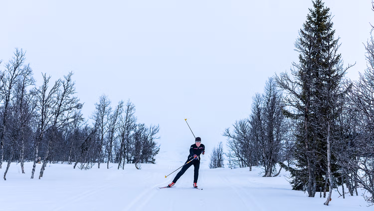 Skier skate skis towards the camera