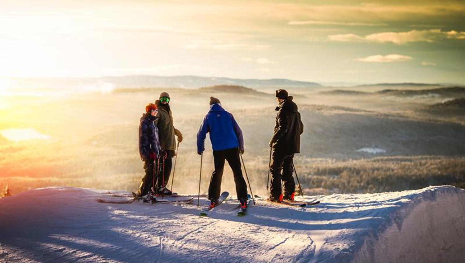 Four people on alpine skis. Photo