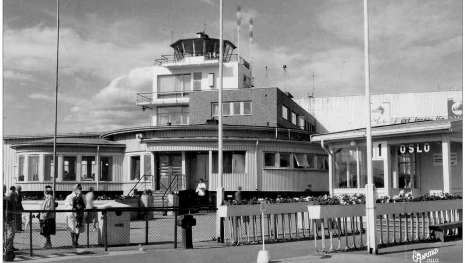 Odonata in the 60s