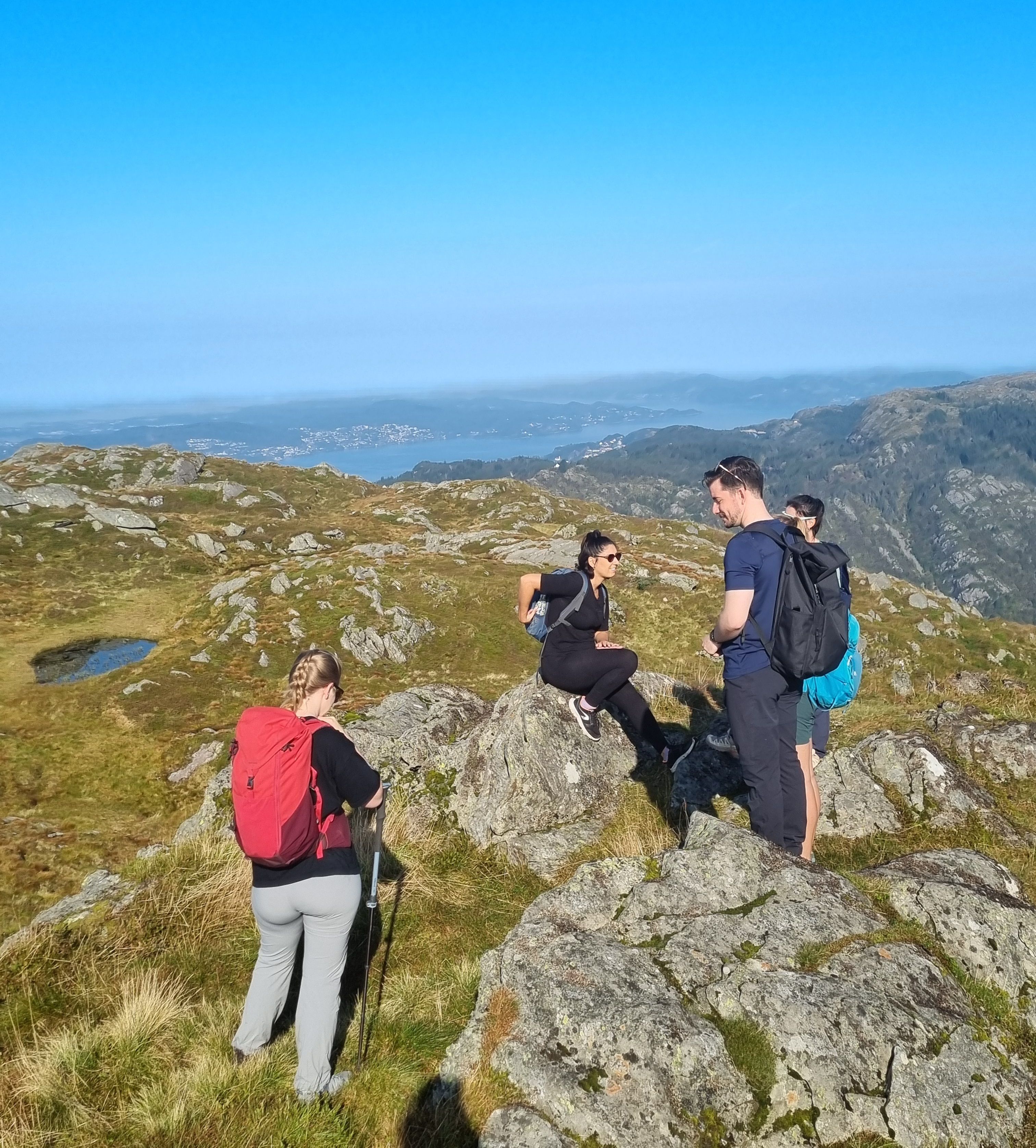 Bergen Panorama