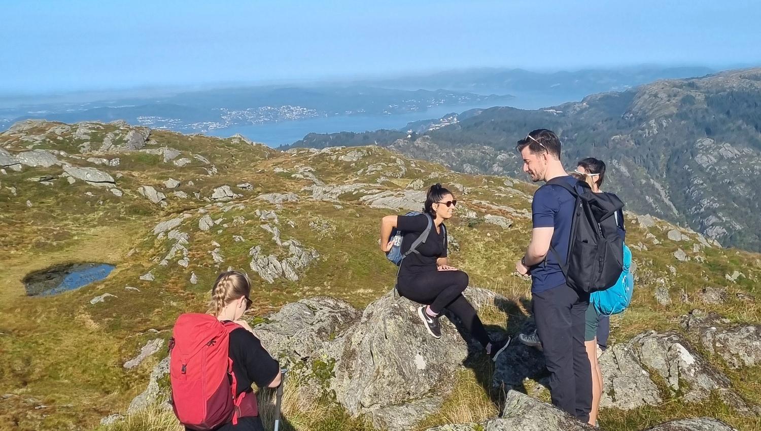 Bergen Panorama