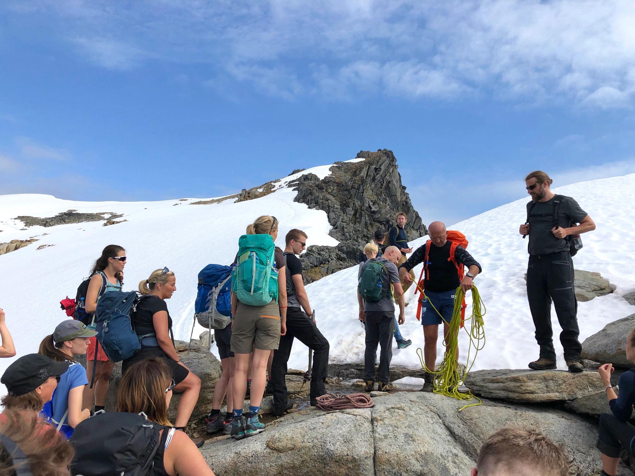 Møysaltur