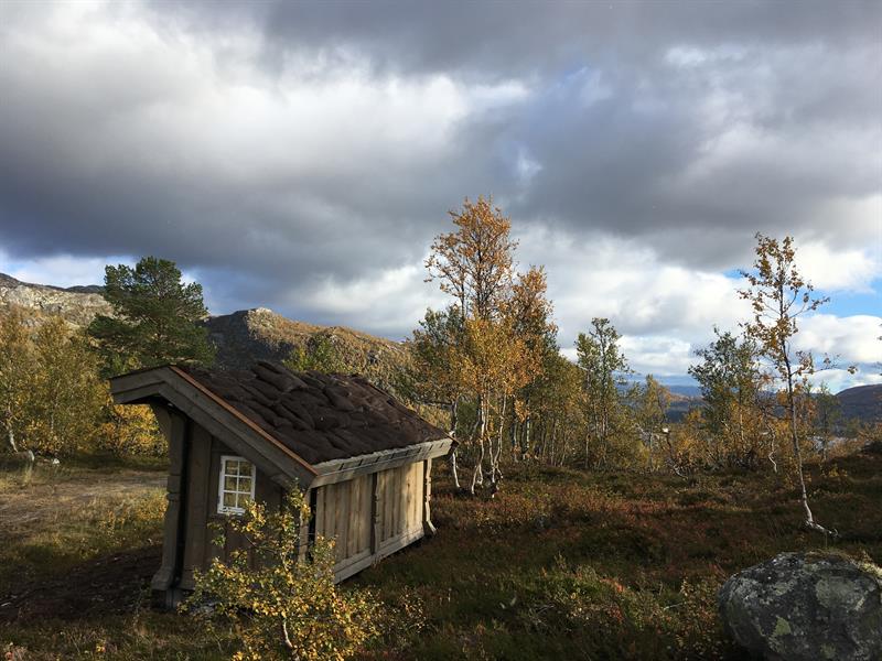 Gapahuk Otrosåsen, 858 moh.