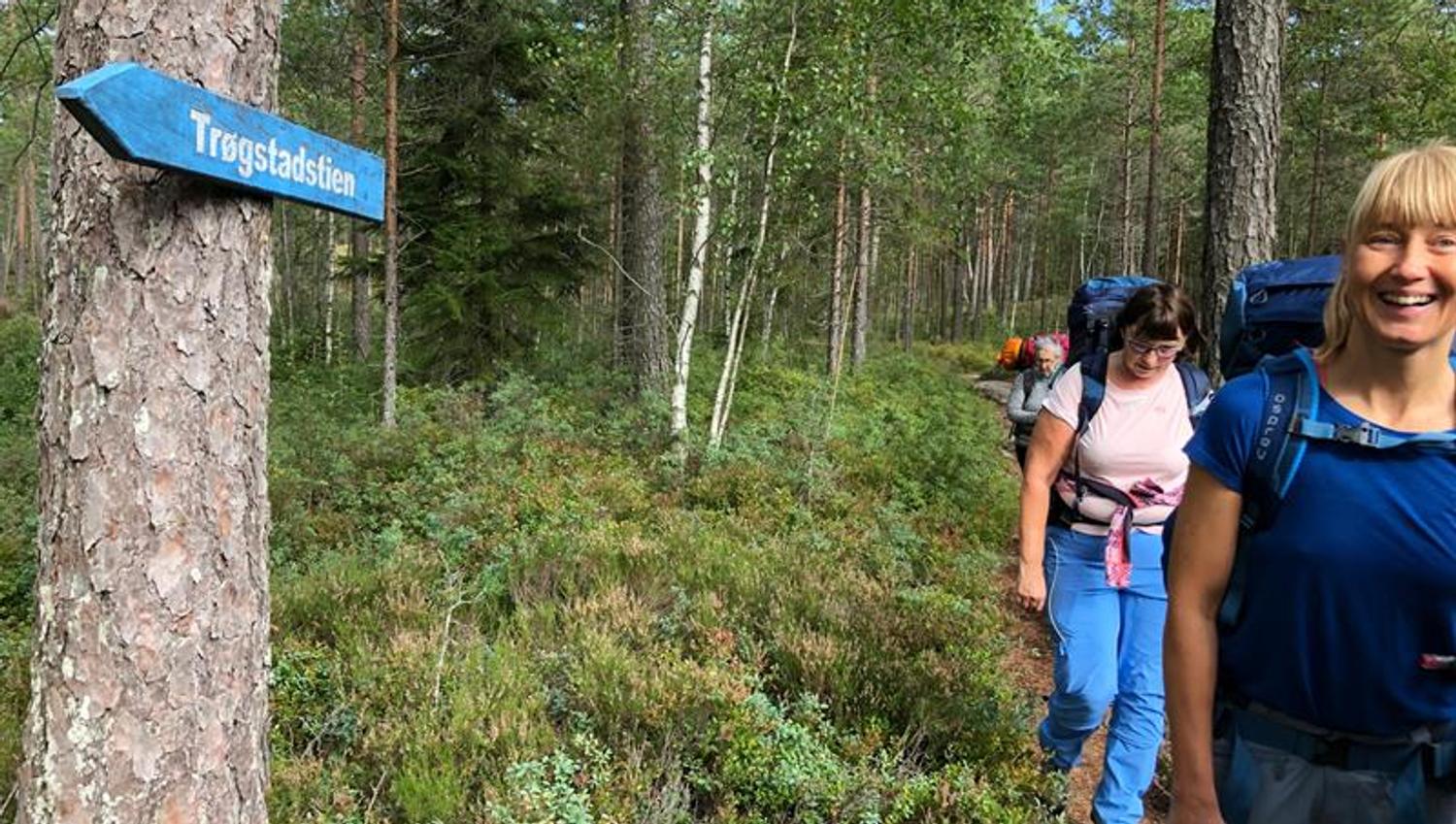 På tur i skogen
