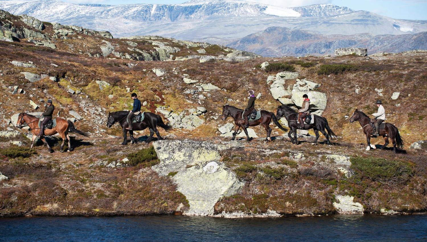 Ridetur i fjellet med Fjellrittet