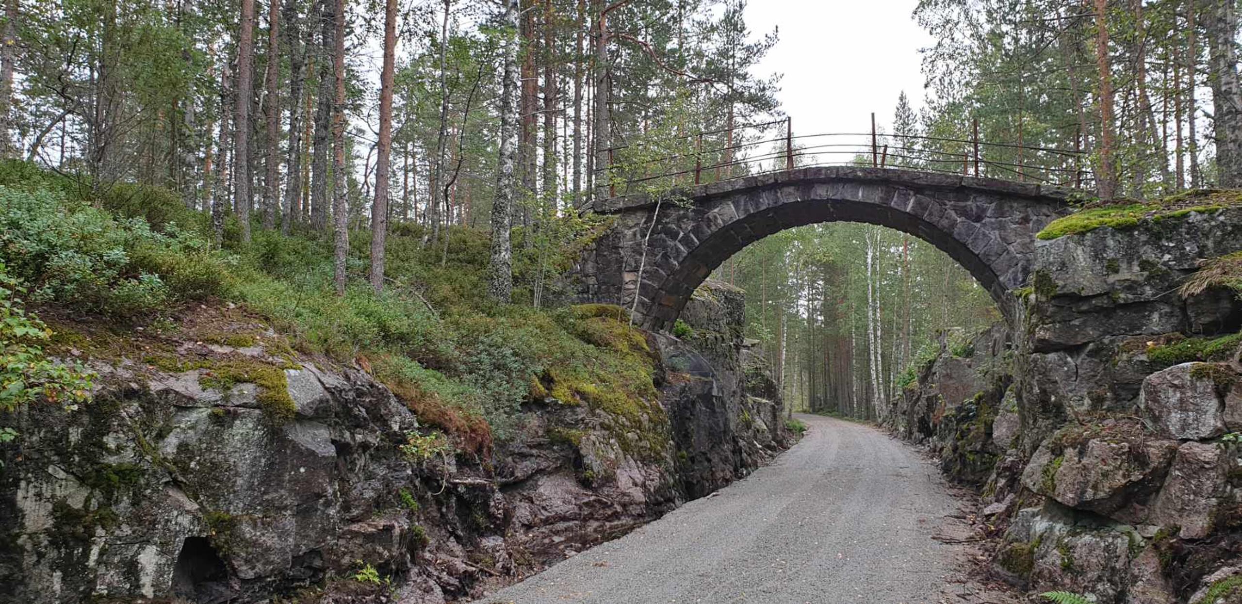 Vei med bro i skogen
