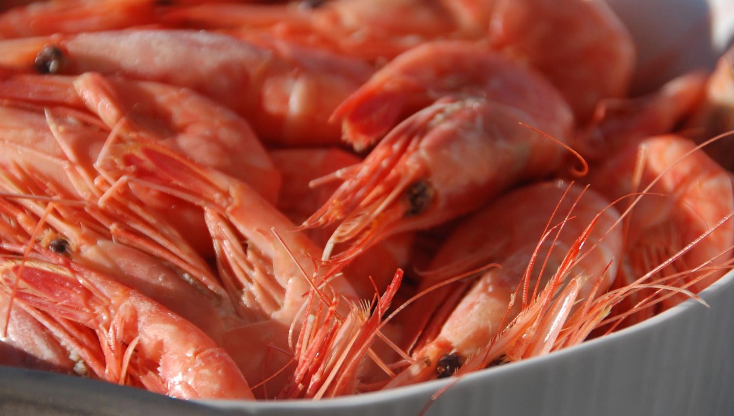 Bowl of shrimp