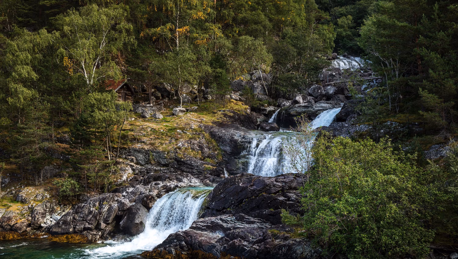 Bergen - Flåm