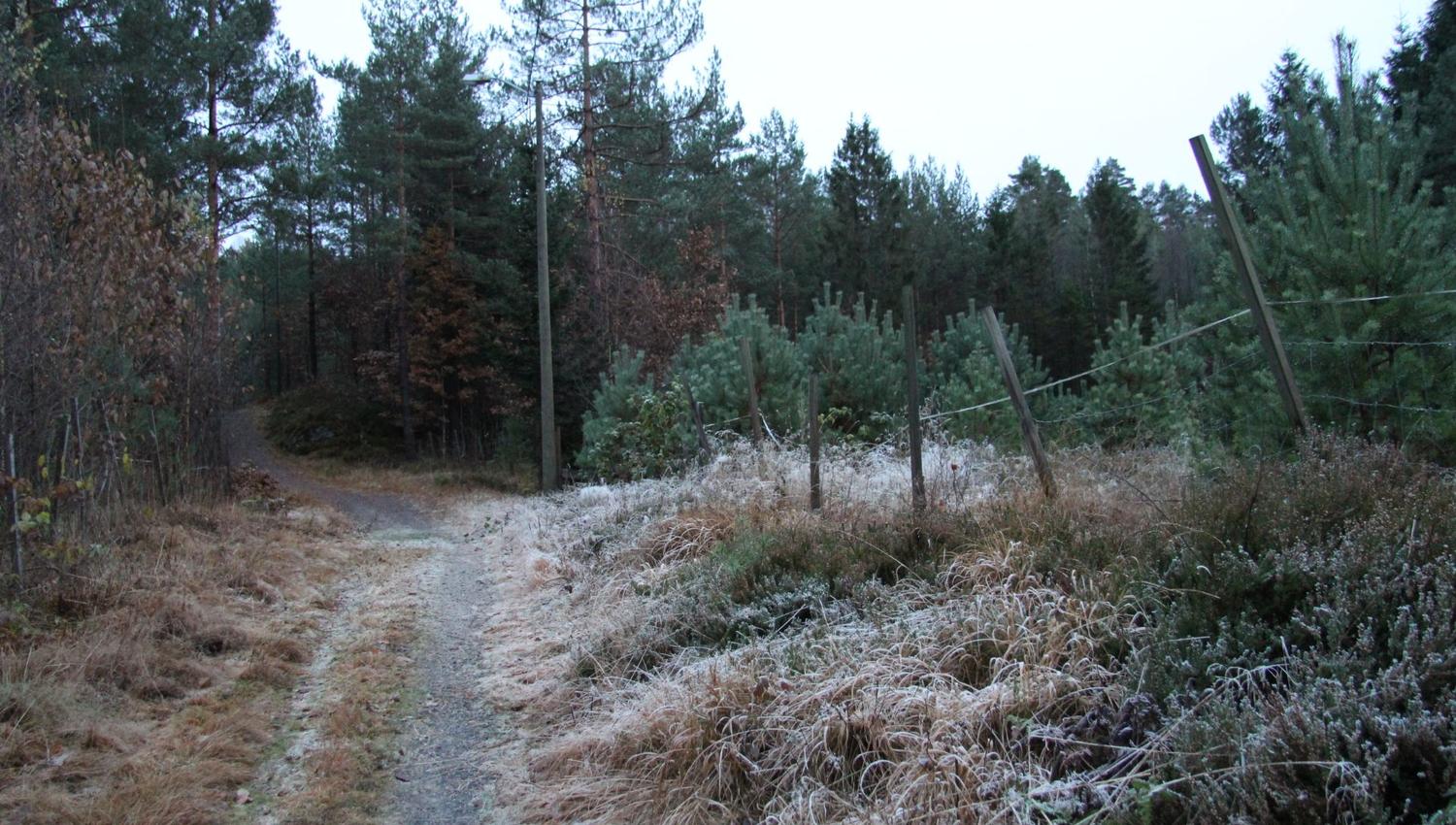 Rykene lysløype