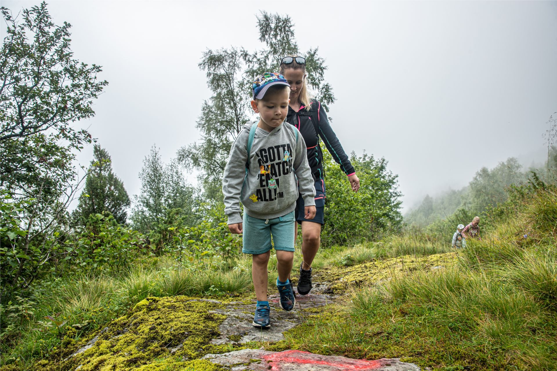 Hike to Synshovden, Vik