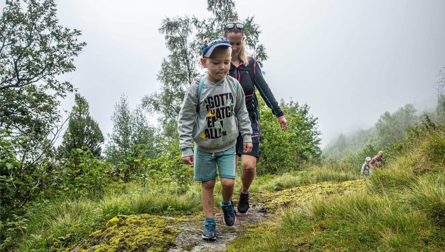 Hike to Synshovden, Vik
