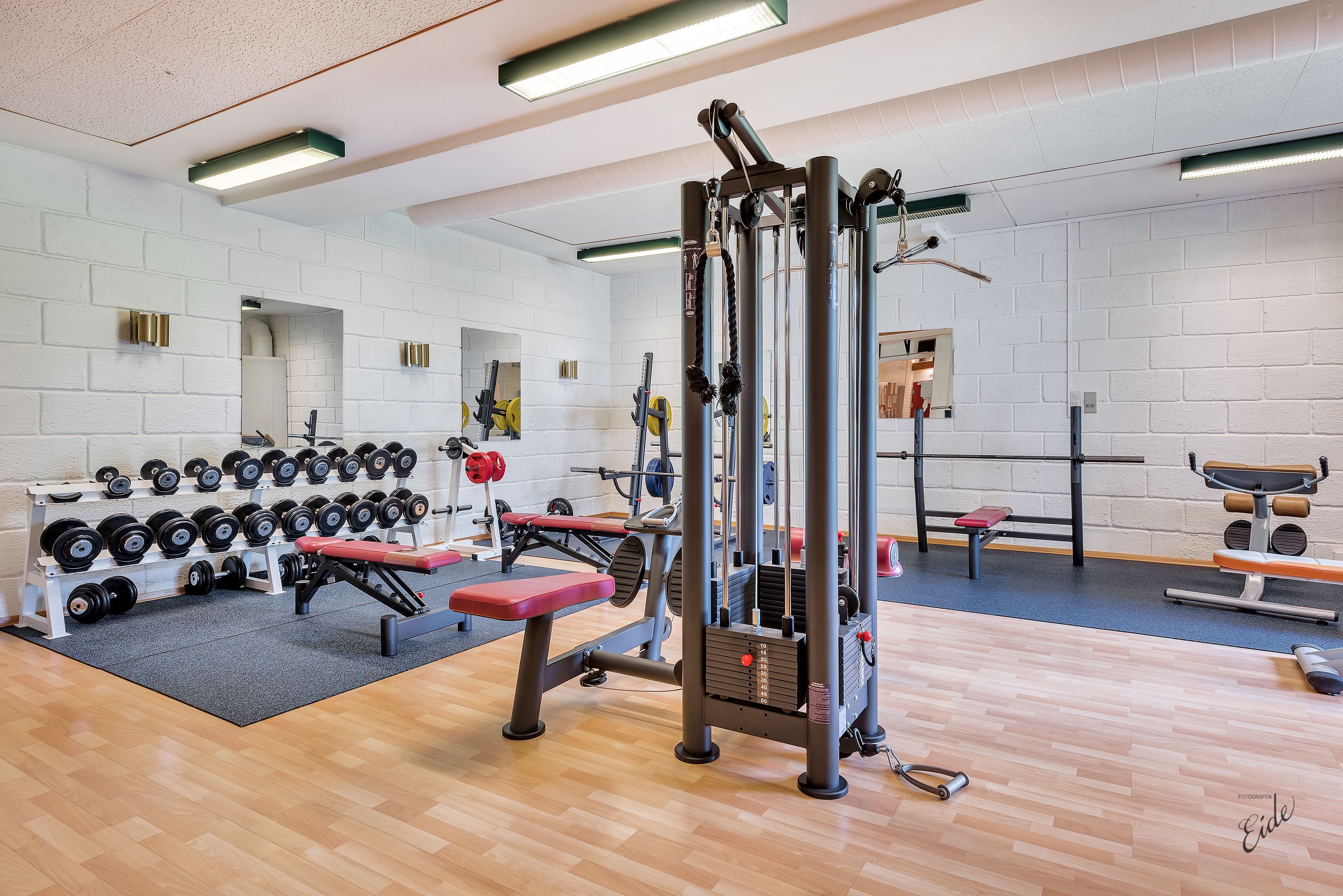Bright gym interior with a cable machine, dumbbell racks, benches, mirrors, and a squat rack on rubber flooring.
