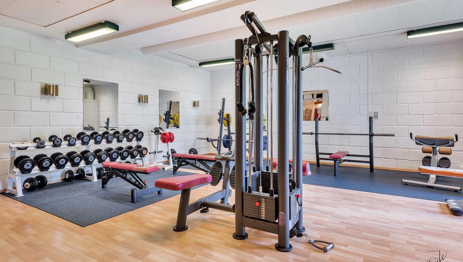Bright gym interior with a cable machine, dumbbell racks, benches, mirrors, and a squat rack on rubber flooring.