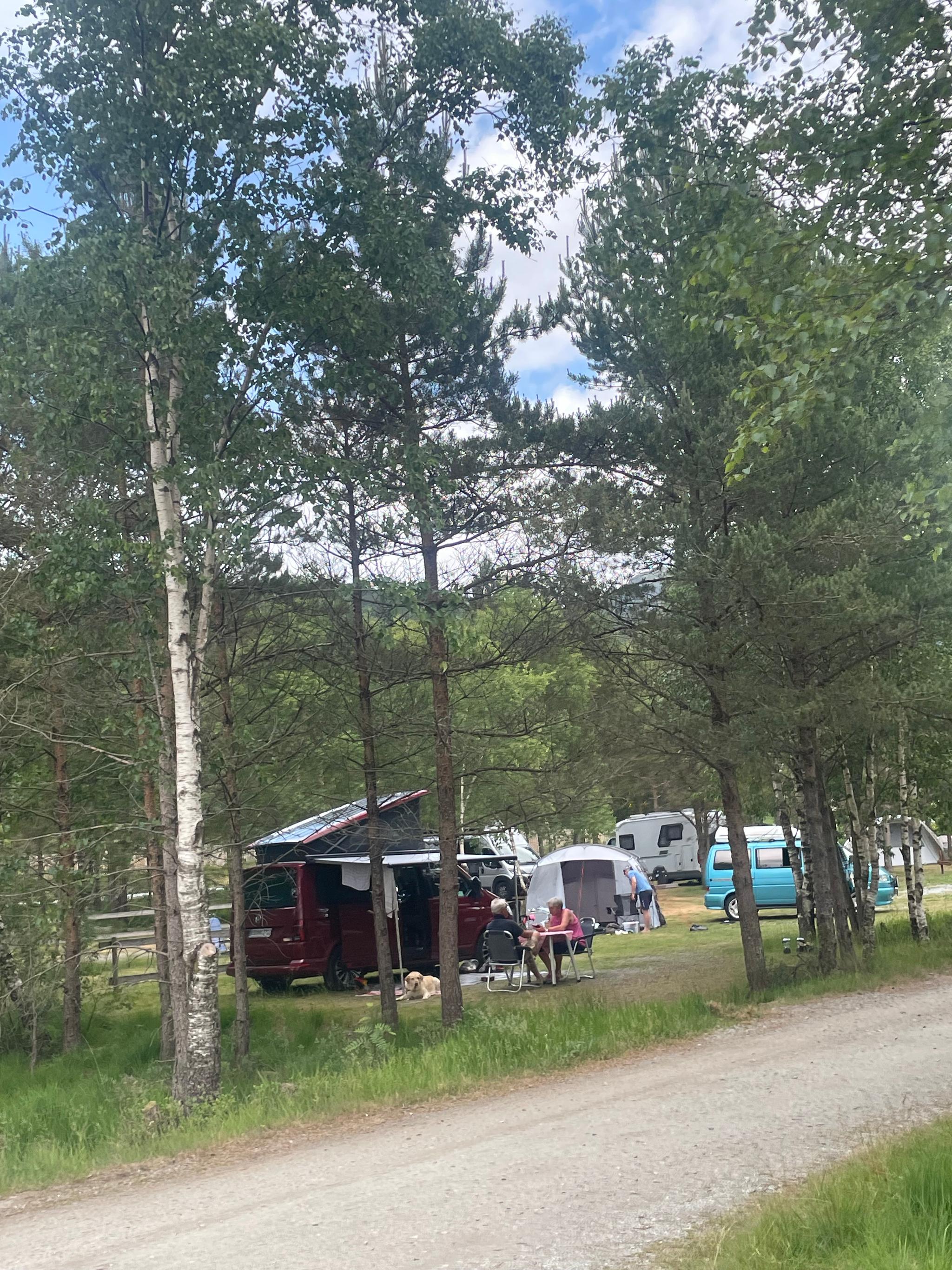 Preikestolen Camping nær Preikestolen