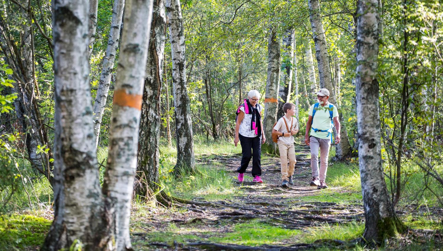 Roger Borgelid Visit Varmland Vandring MbSkogen-Bjo¨rkskog 04