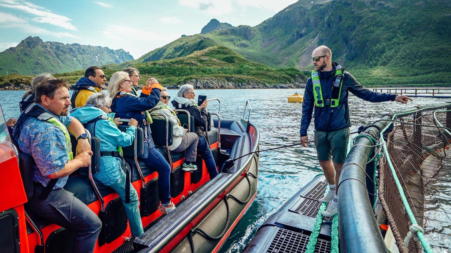 Planlegg reisen til Vesterålen | Aktiviteter, hotell, mat og drikke