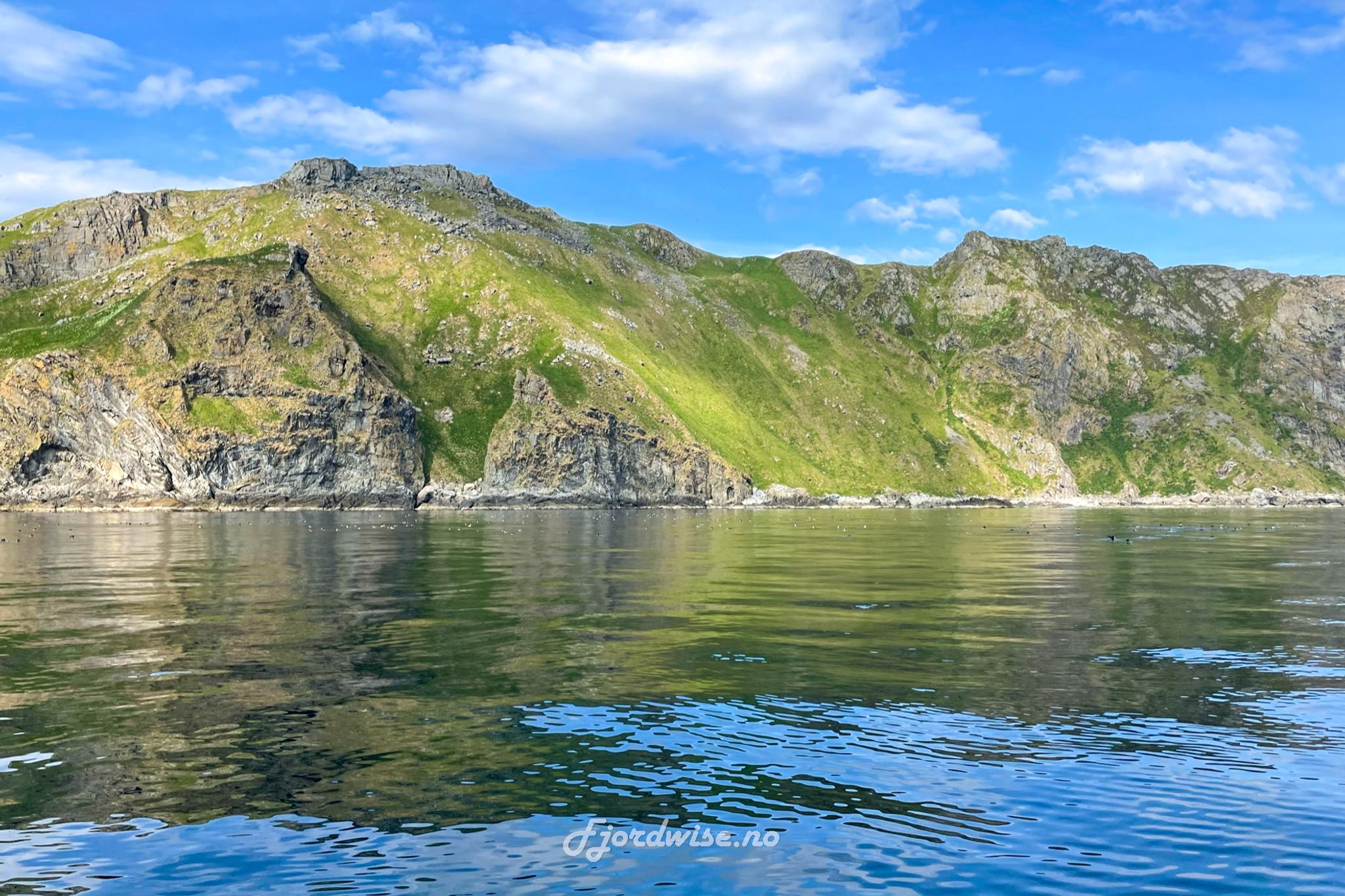 Private boat charter to Runde bird island