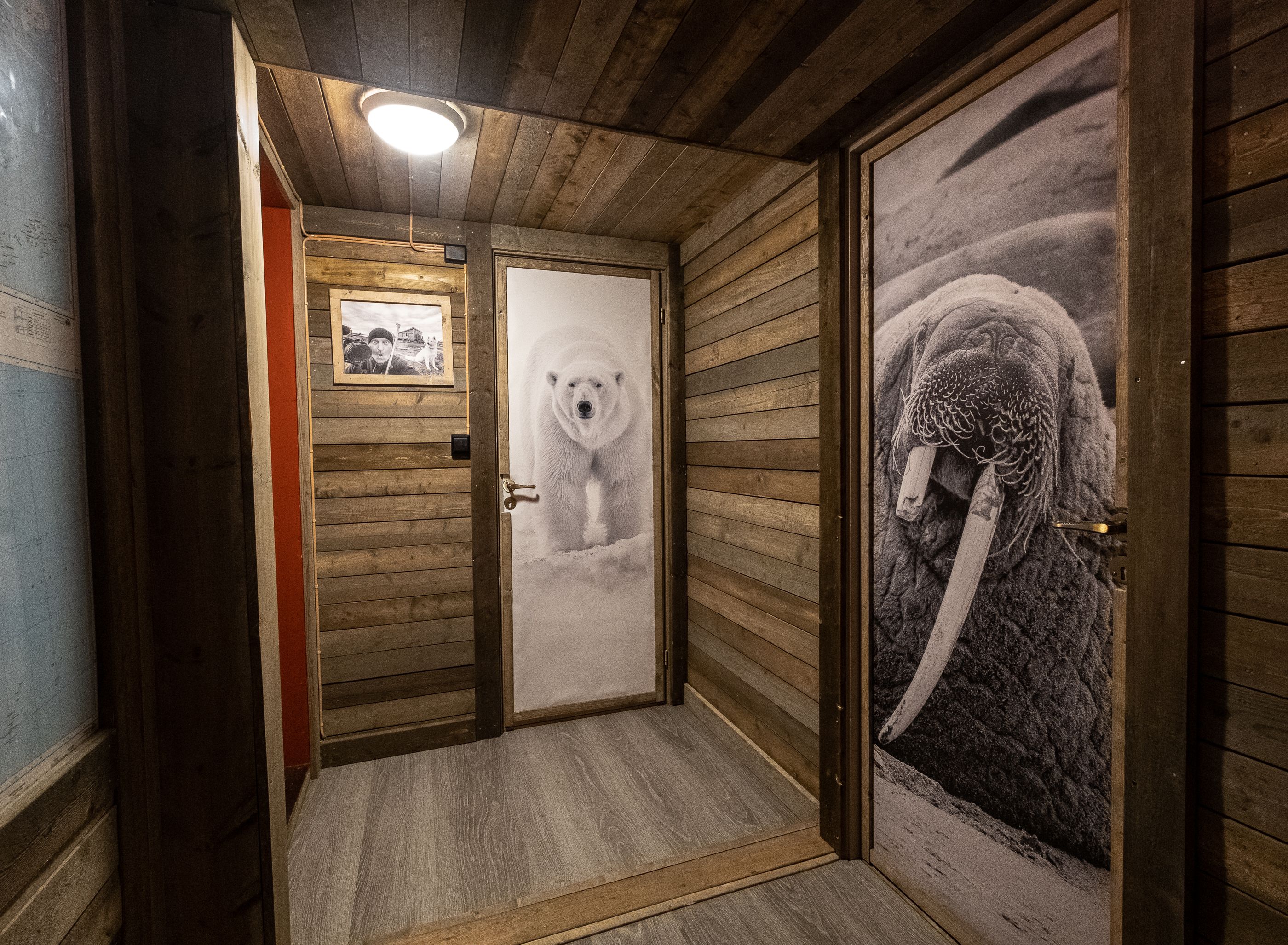 A hallway at Tommy's lodge with portraits of a walrus and a polar bear on doors throughout the hall