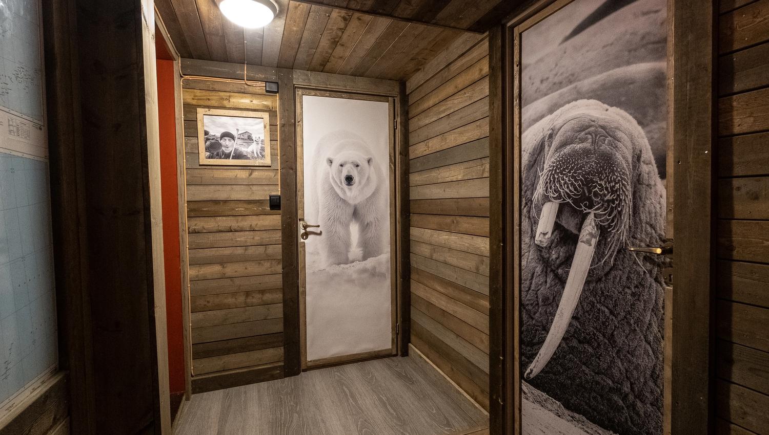 A hallway at Tommy's lodge with portraits of a walrus and a polar bear on doors throughout the hall