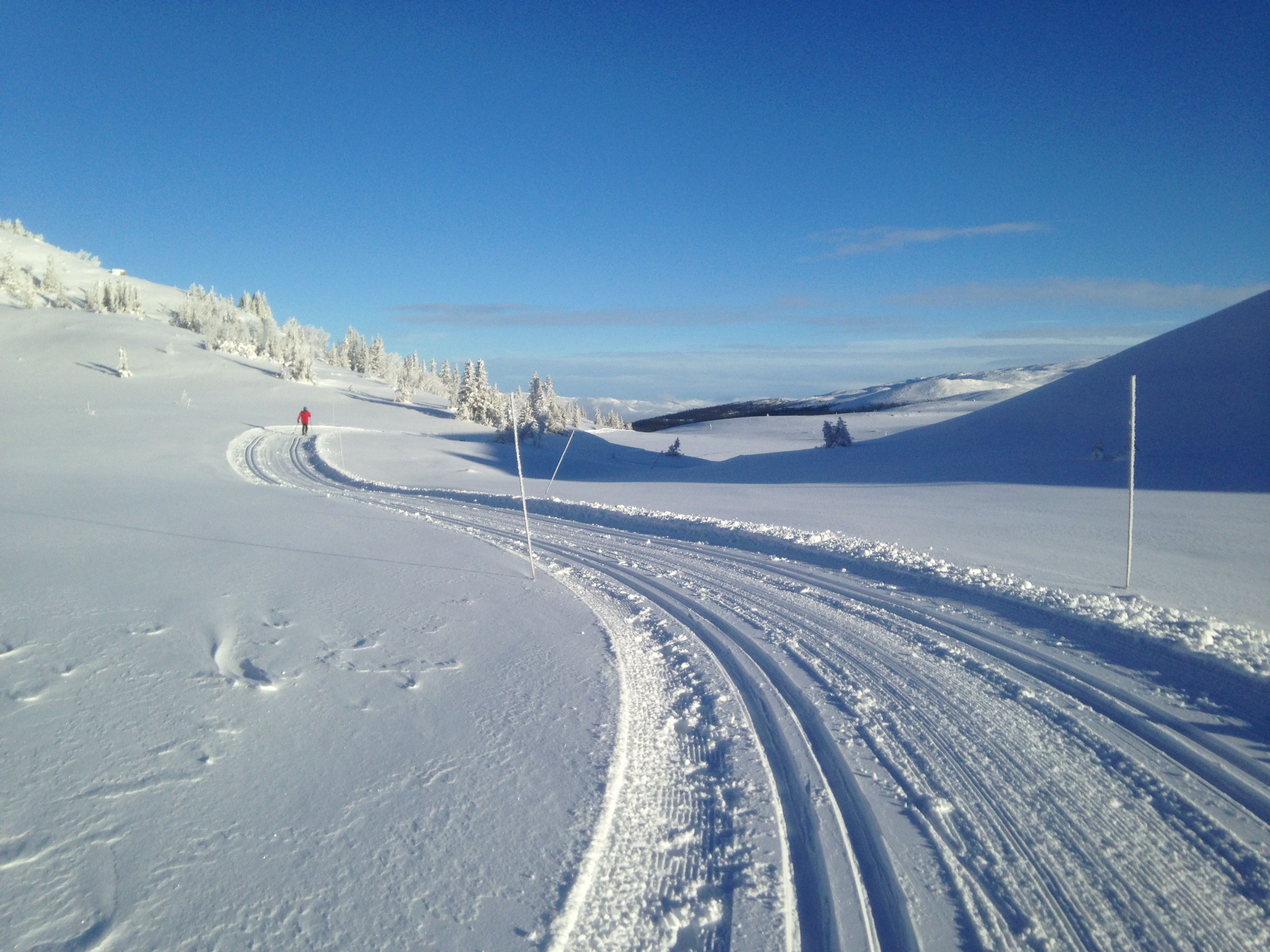 Øvre Reinsjøfjell langrenn