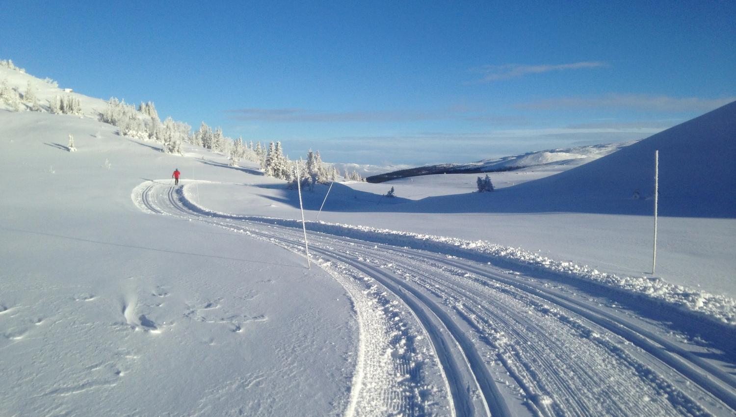 Øvre Reinsjøfjell langrenn